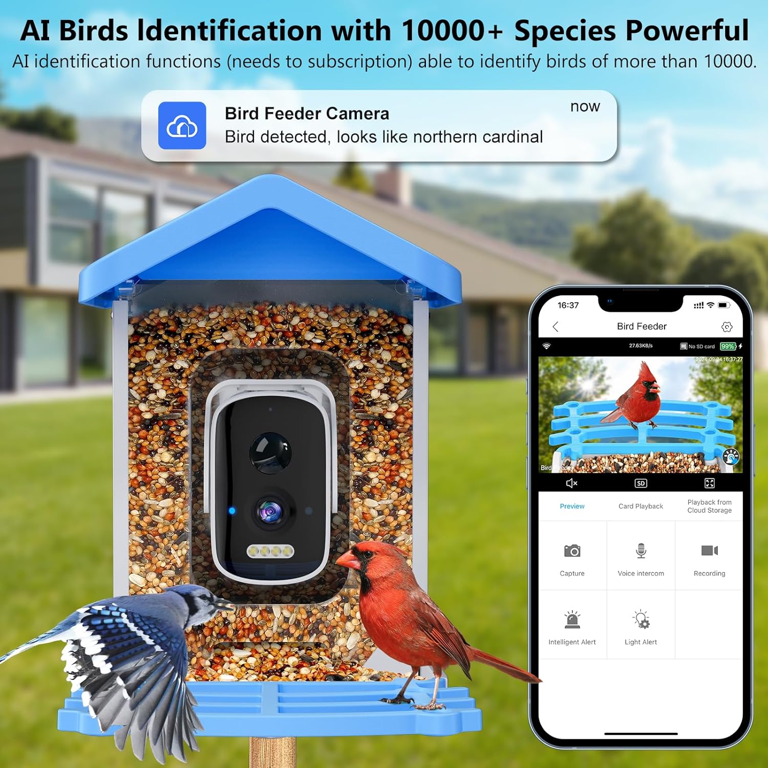 Smart Garden Ai - Kamera, Yapay Zeka Kuş Türleri Tanıma