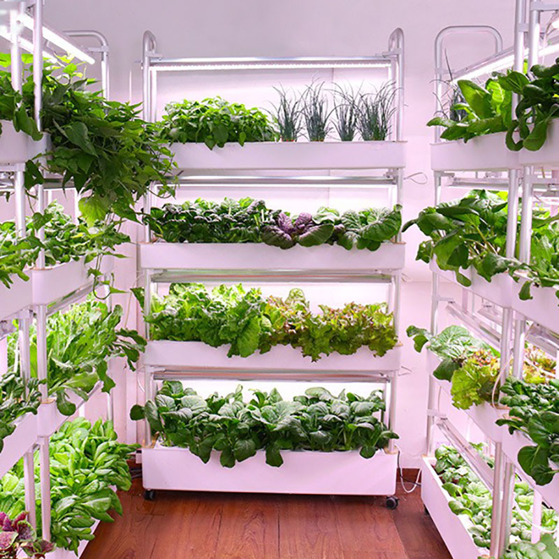 Smart Garden Vertical Planter - Topraksız Yetiştirme Sistemi Dikey Akıllı Kapalı