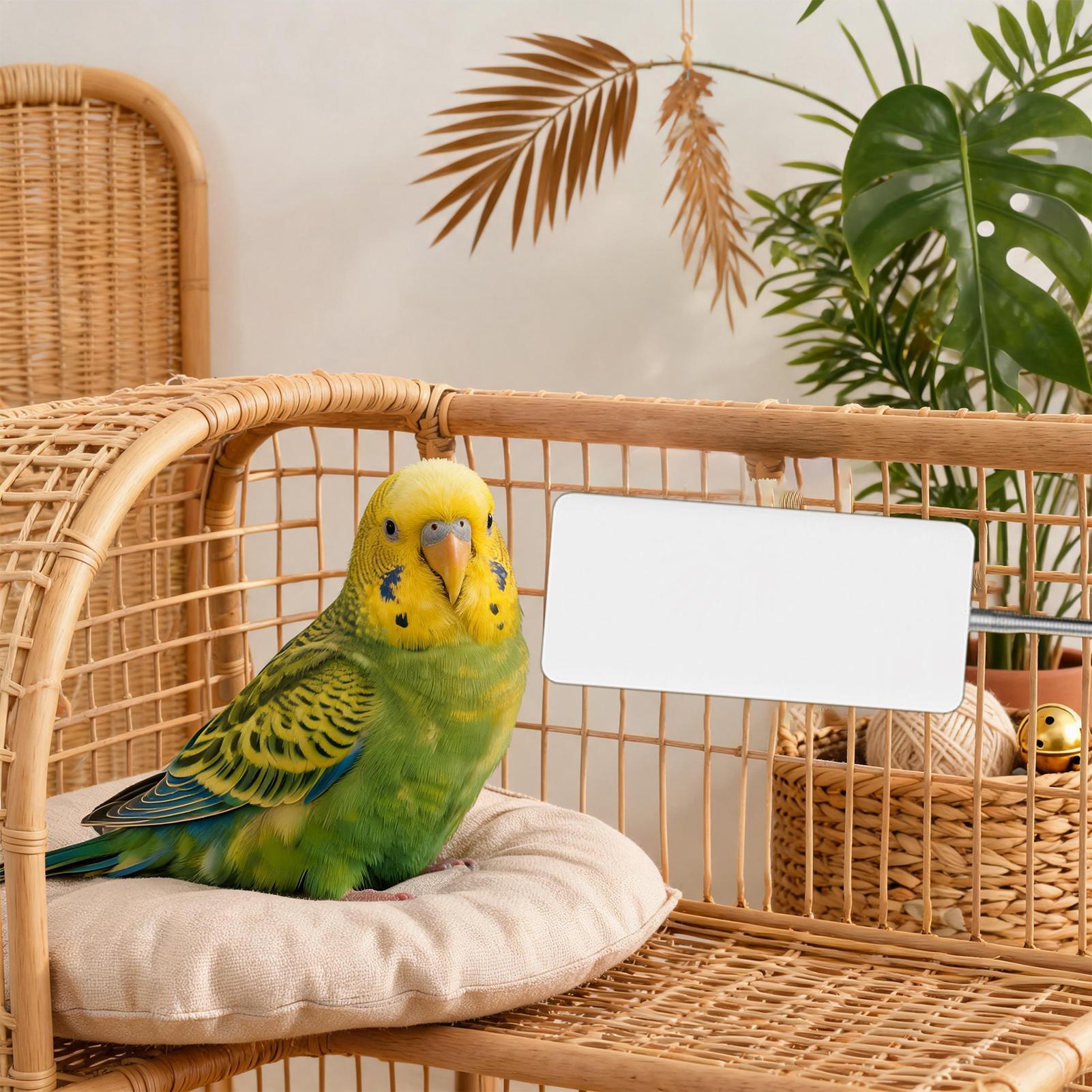 Smart Garden Bird Bath - Kuş Isıtıcı 5V Güvenli Pet Kış