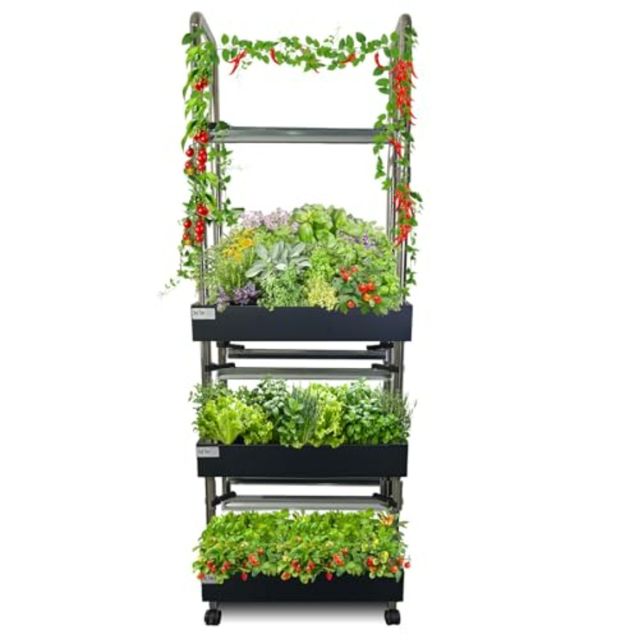 Smart Garden Indoor - İç mekan hidroponik yetiştirme sistemi: akıllı