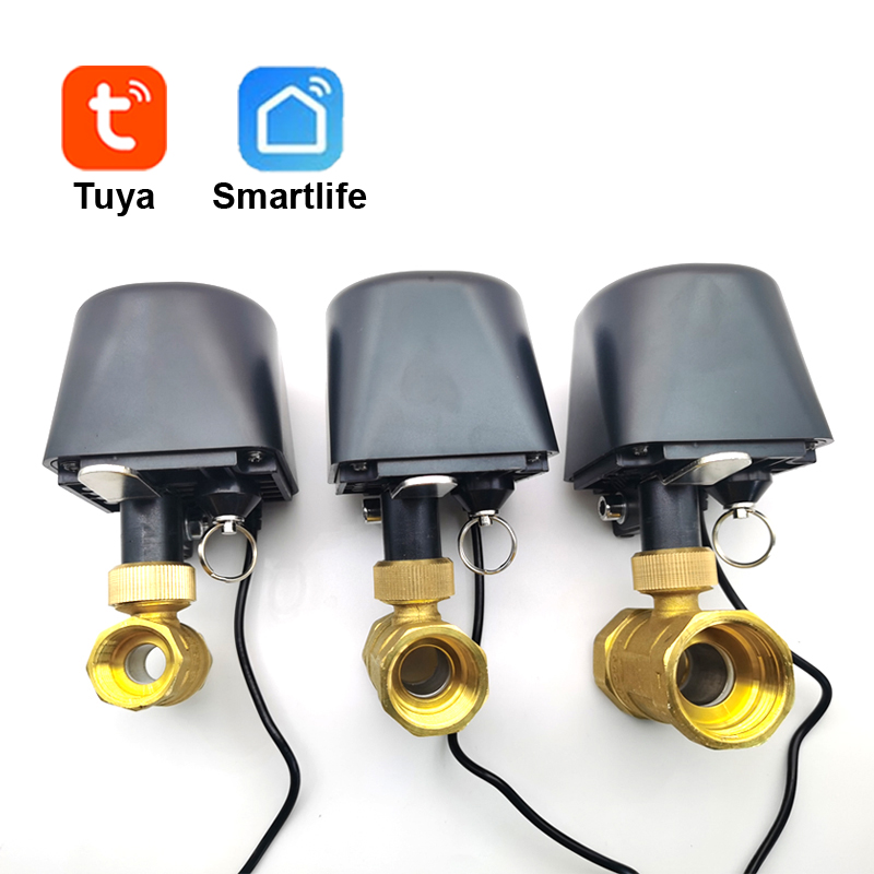 Smart Garden Zigbee - Tuya WiFi veya Zigbee Su Vanası