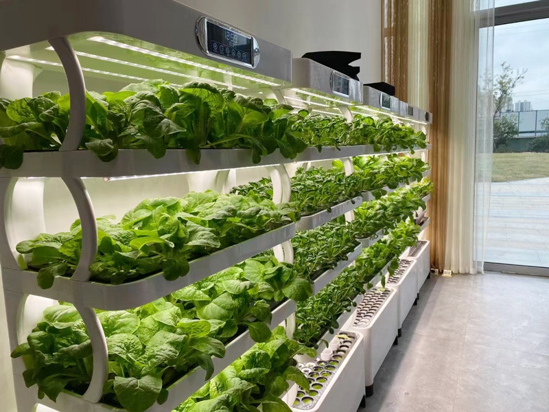 Dikey Sera Komple Hidroponik S - Smart Garden Vertical Planter incelemesi ve fiyatı