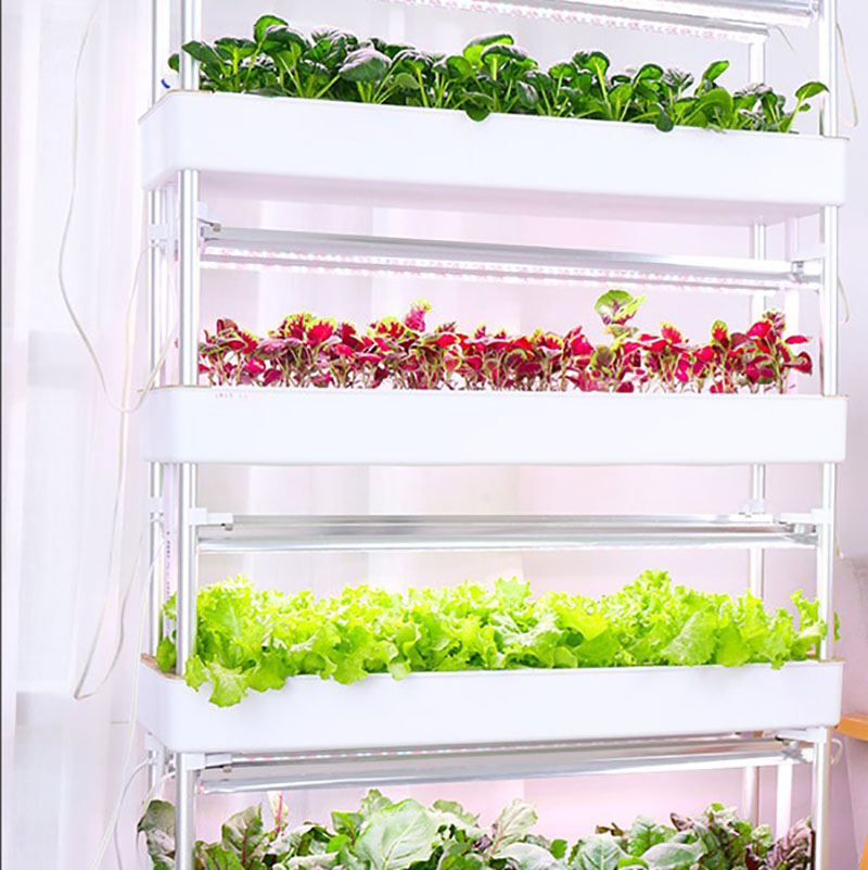 Topraksız Yetiştirme Sistemi D - Smart Garden Vertical Planter incelemesi ve fiyatı