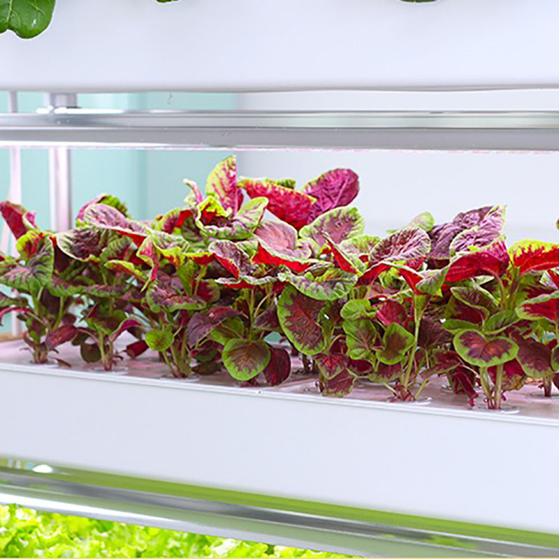 Topraksız Yetiştirme Sistemi D - Smart Garden Vertical Planter incelemesi ve fiyatı