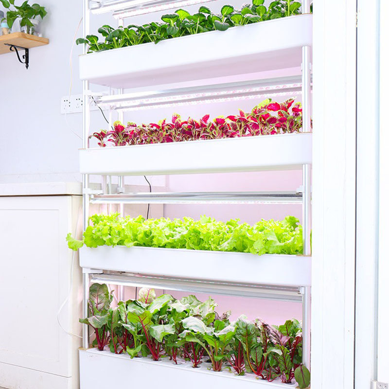 Topraksız Yetiştirme Sistemi D - Smart Garden Vertical Planter incelemesi ve fiyatı