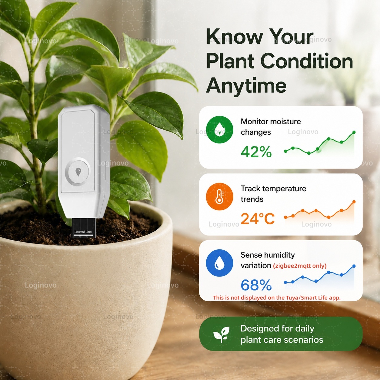 TUYA Zigbee Toprak Test Cihazı - Smart Garden Home Assistant incelemesi ve fiyatı