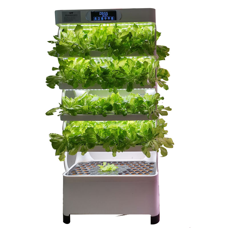 İç Mekan Akıllı Düşük Maliyetl - Smart Garden Indoor incelemesi ve fiyatı