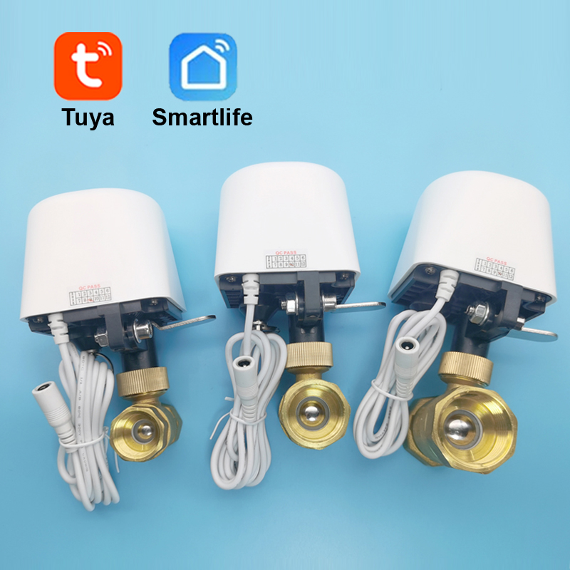 Akıllı Tuya WiFi Zigbee Su Van - Smart Garden Home Assistant incelemesi ve fiyatı