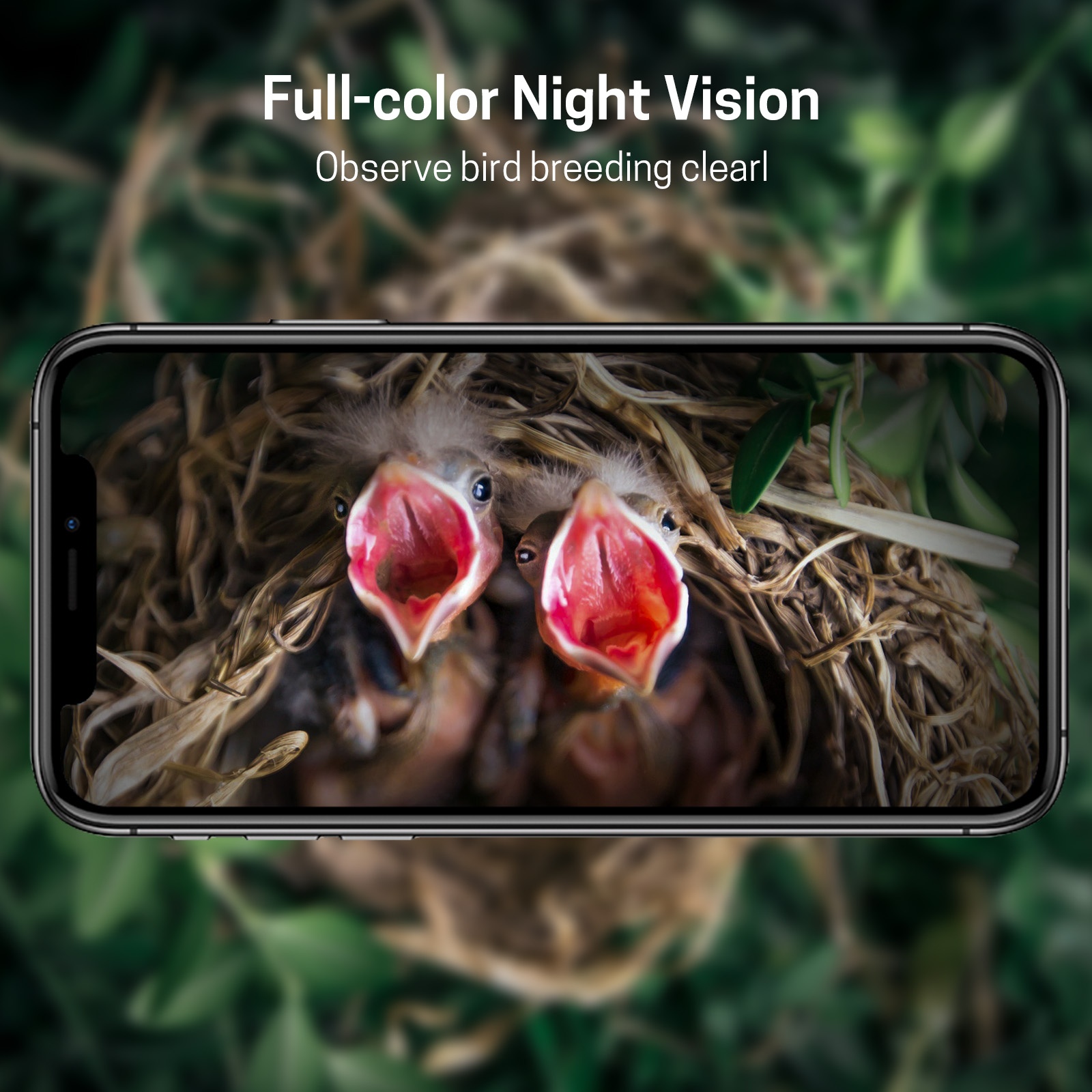 Nanxin Çok Satan Kamera Kuş Ev - Smart Garden Ai incelemesi ve fiyatı