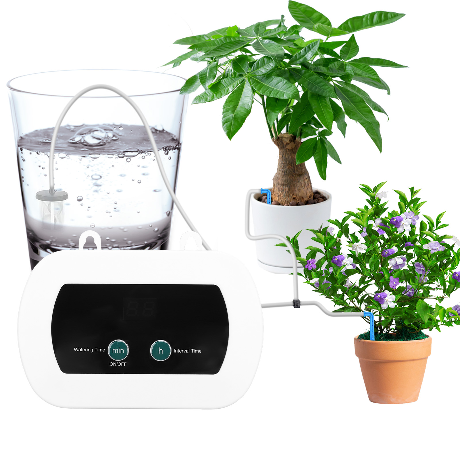 Akıllı Kendiliğinden Sulama Si - Smart Garden Sphagnum Moss incelemesi ve fiyatı
