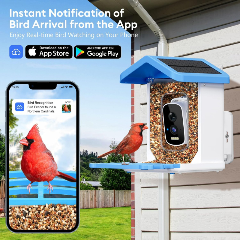 Kamera, Yapay Zeka Kuş Türleri - Smart Garden Ai incelemesi ve fiyatı