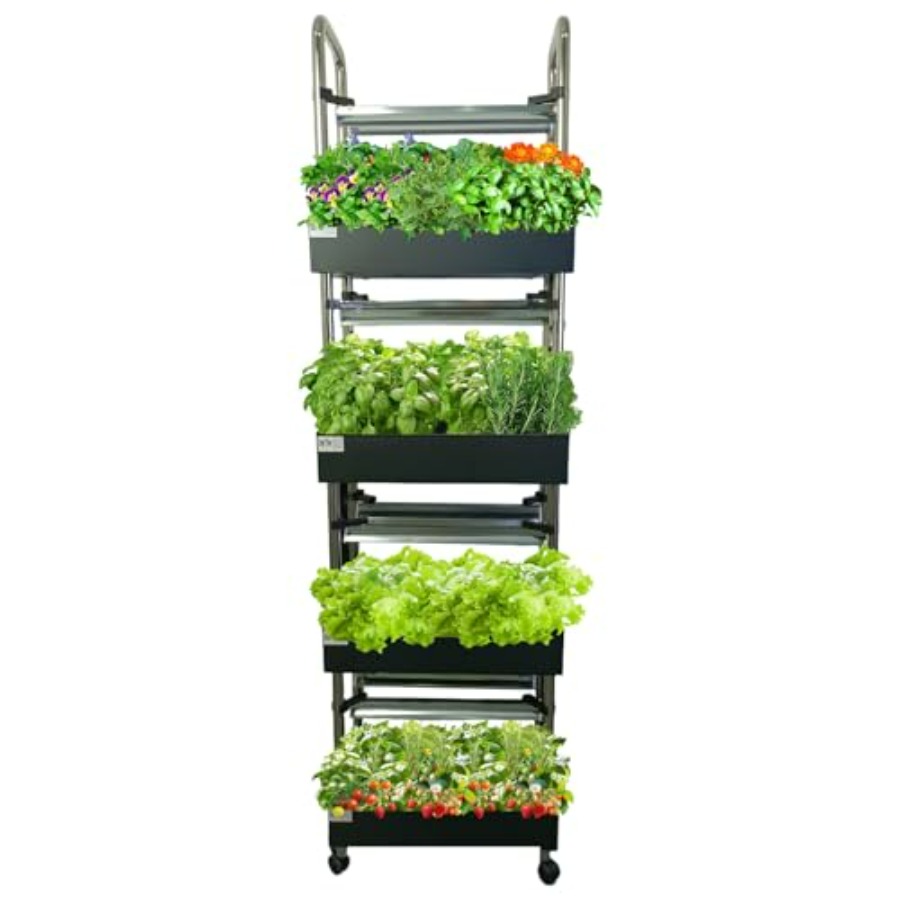 İç mekan hidroponik yetiştirme - Smart Garden Indoor incelemesi ve fiyatı