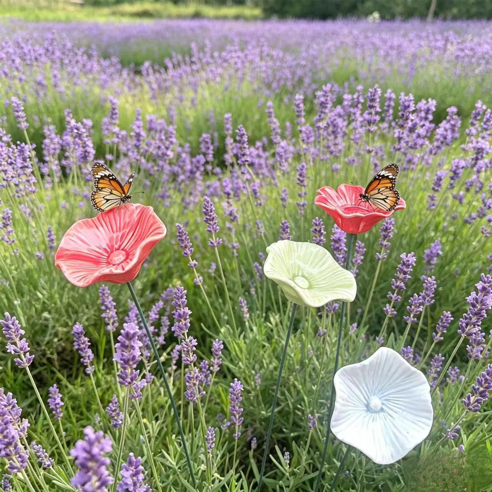 4 adet seramik arı sulama kase - Garden Weather Station incelemesi ve fiyatı