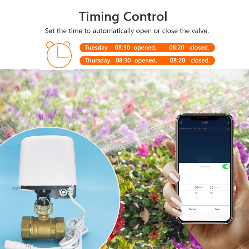Wifi Zigbee Tuya Su Vanası Bah - Smart Garden Home Assistant incelemesi ve fiyatı